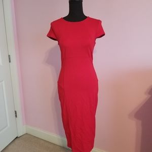 Felicity and Coco Fitted Dress